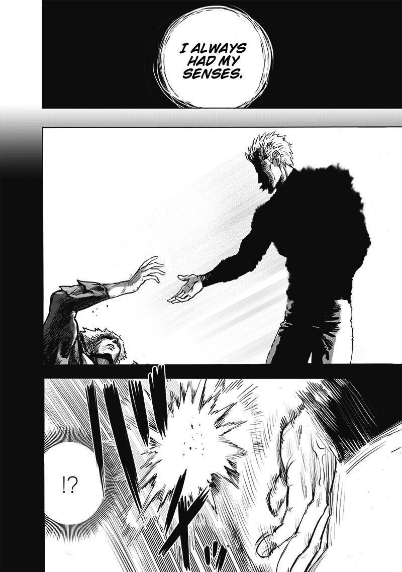 Onepunch Man 165 35