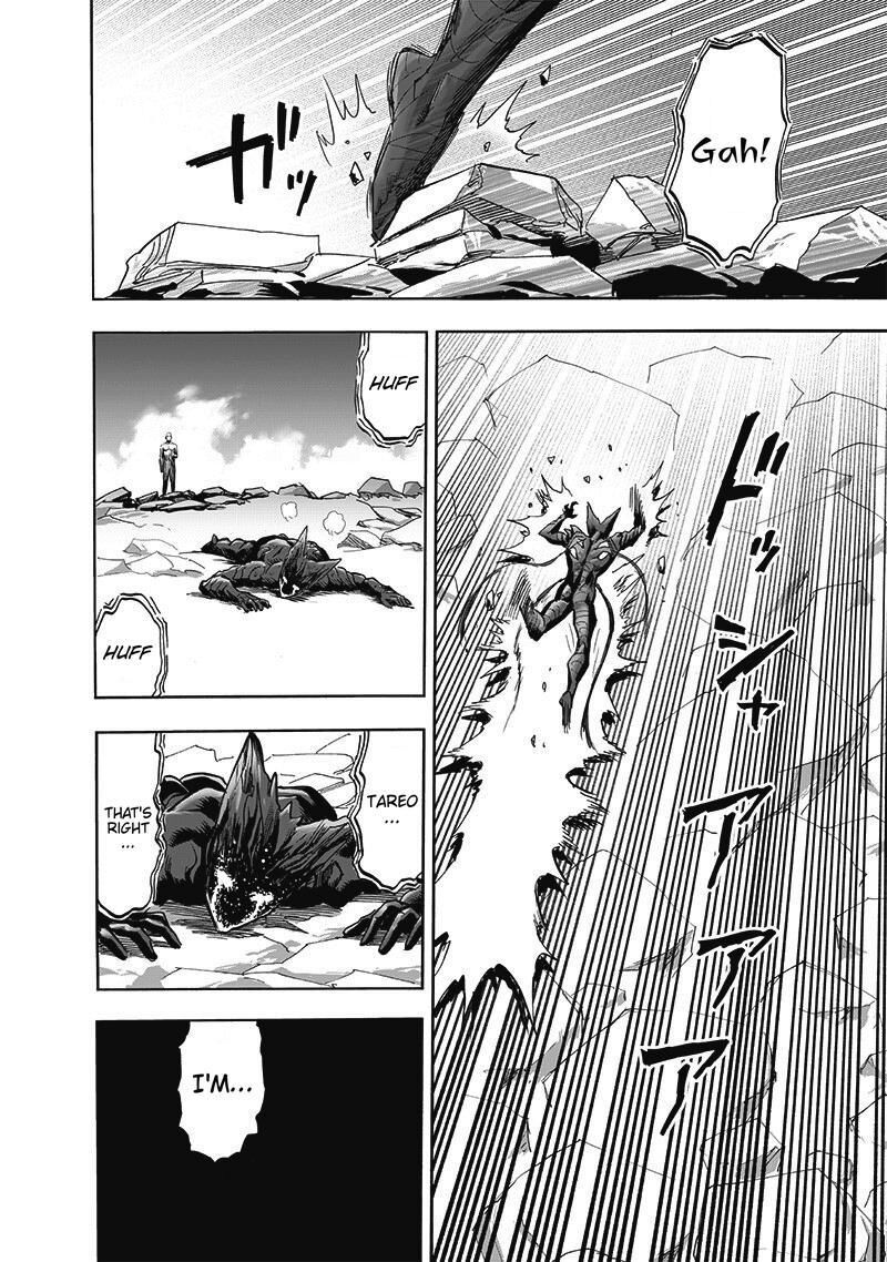 Onepunch Man 168 41
