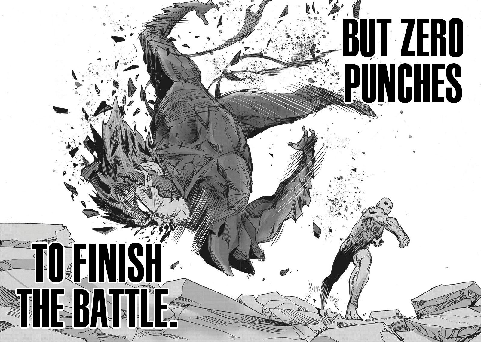 Onepunch Man 168 64