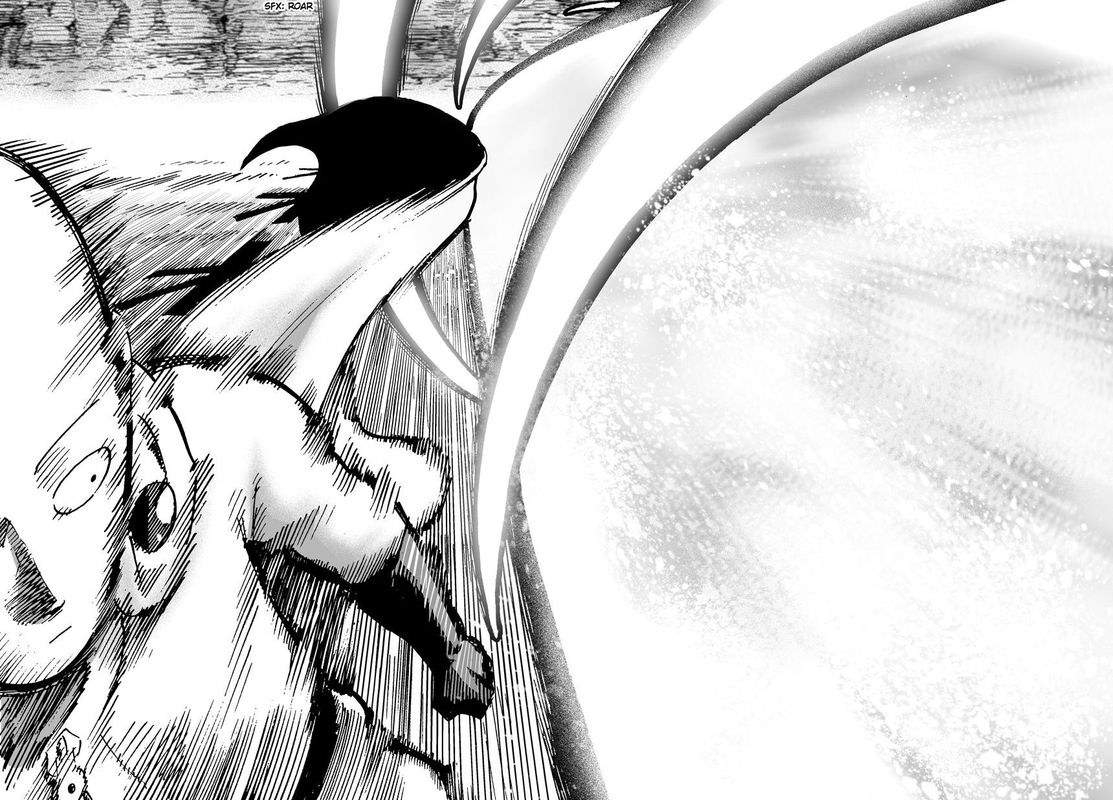 Onepunch Man 17 16