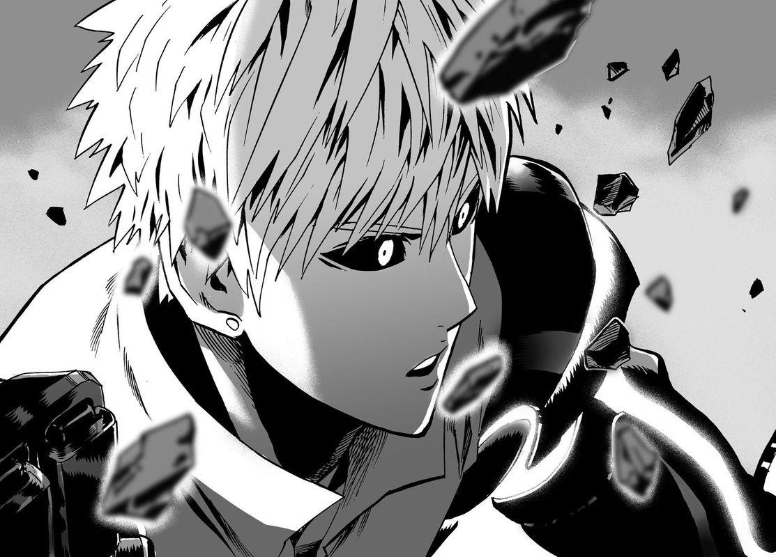 Onepunch Man 17 31