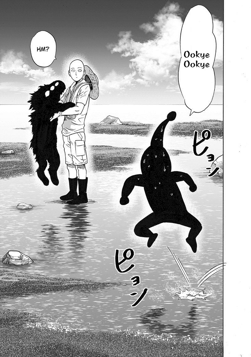 Onepunch Man 171 29
