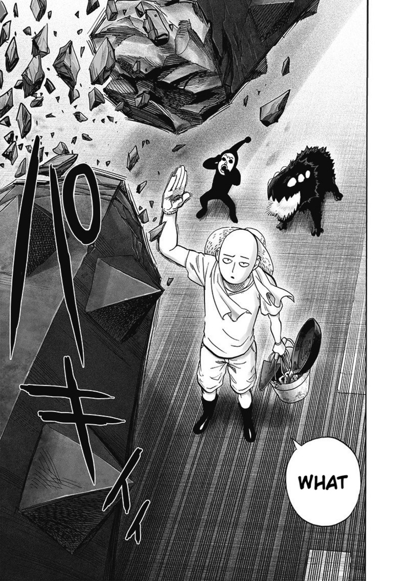 Onepunch Man 172 19