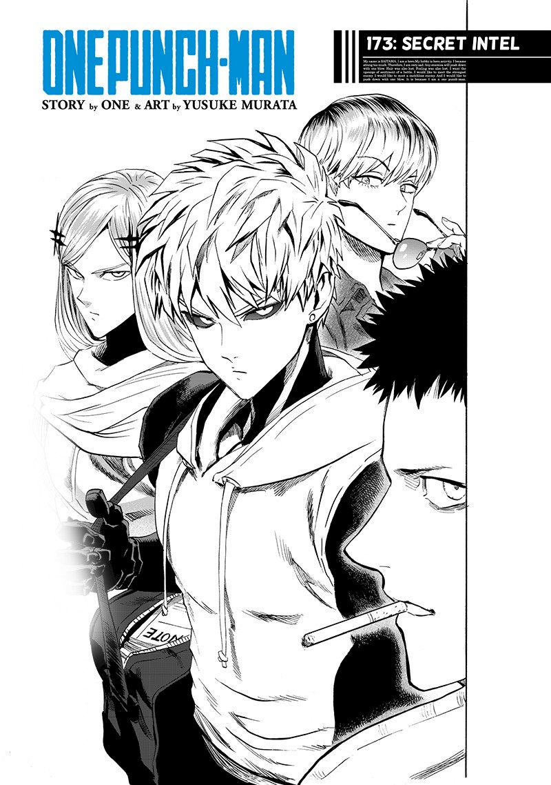 Onepunch Man 173 1