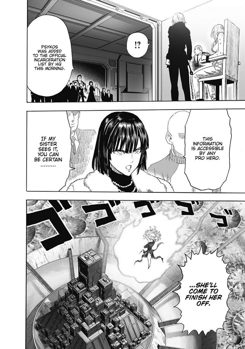 Onepunch Man 176 14