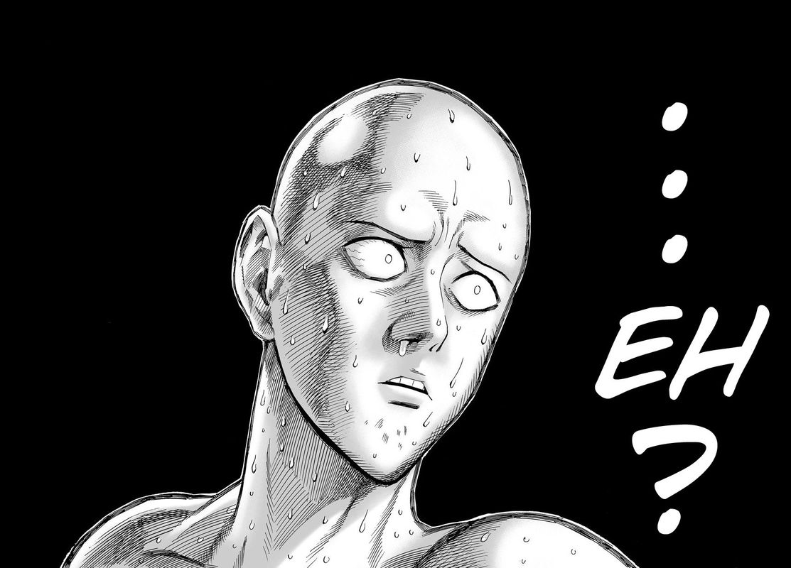Onepunch Man 18 8