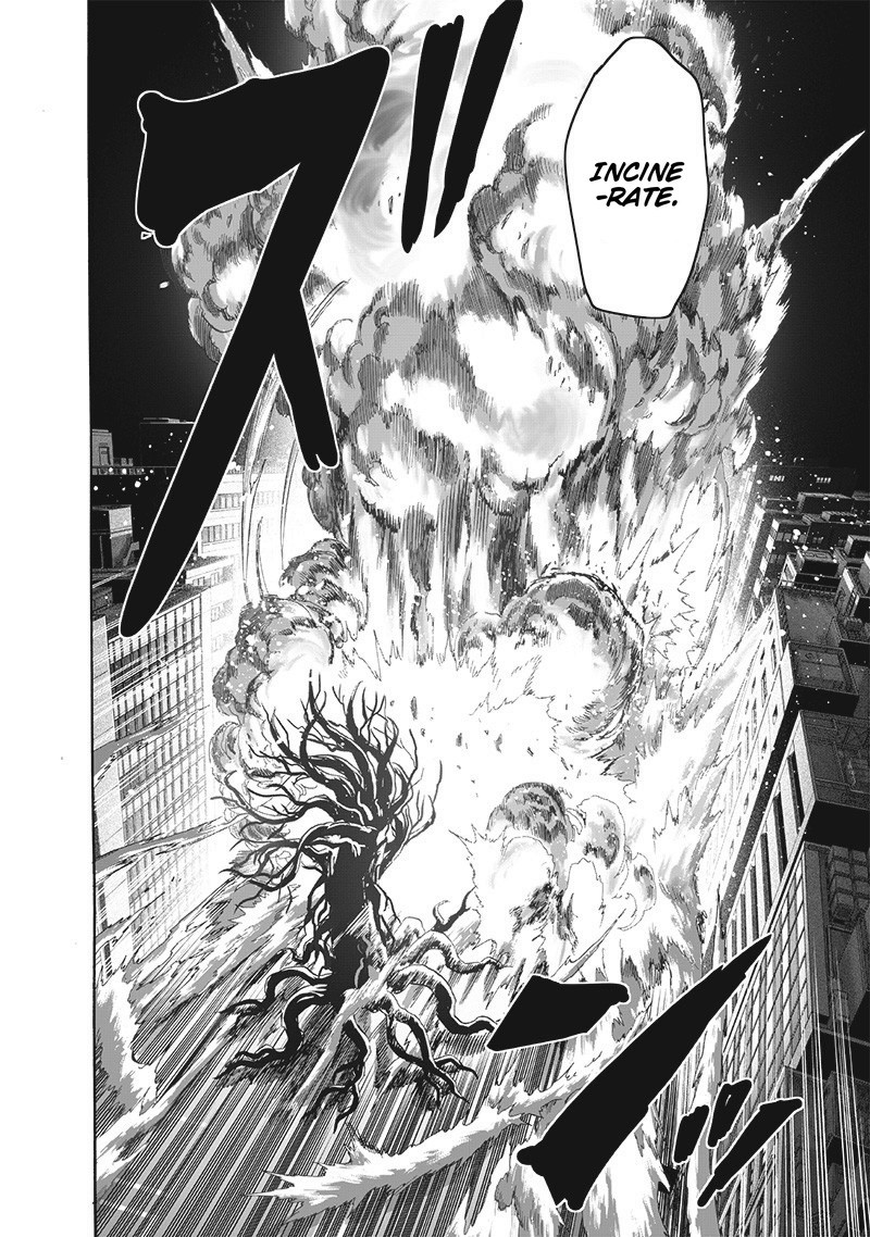 Onepunch Man 185 24