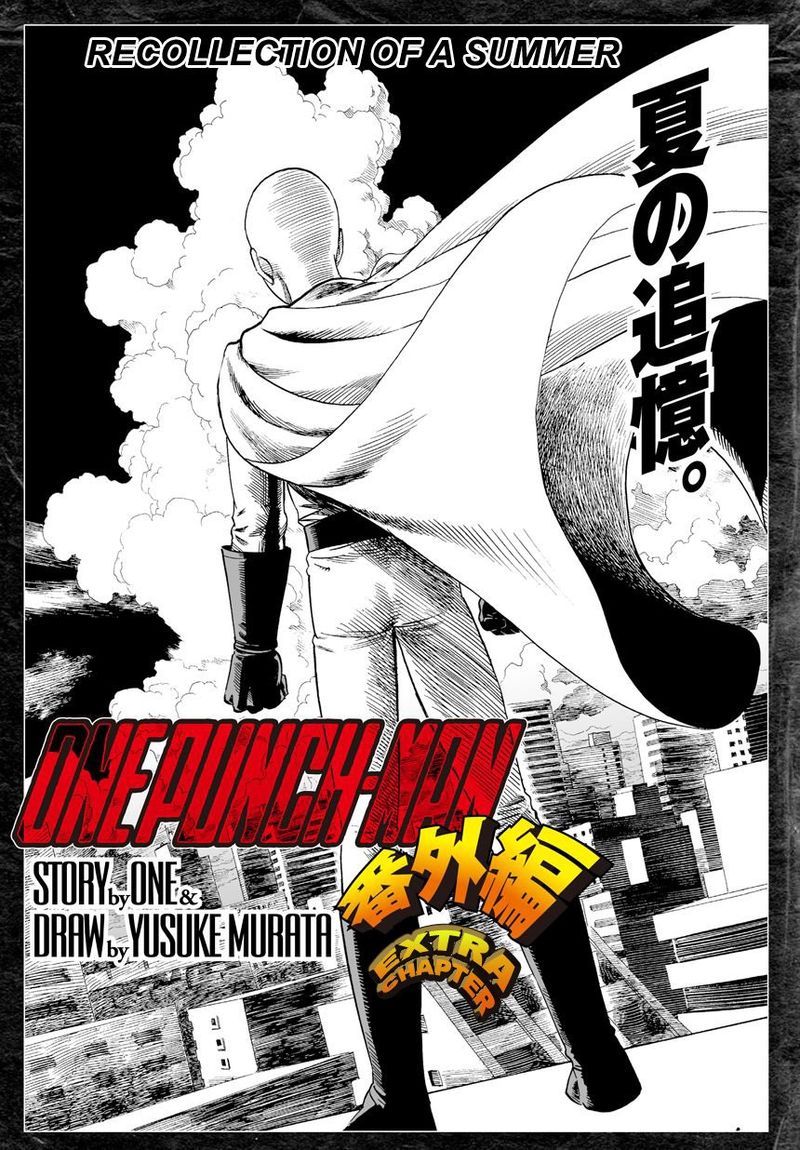 Onepunch Man 20 40
