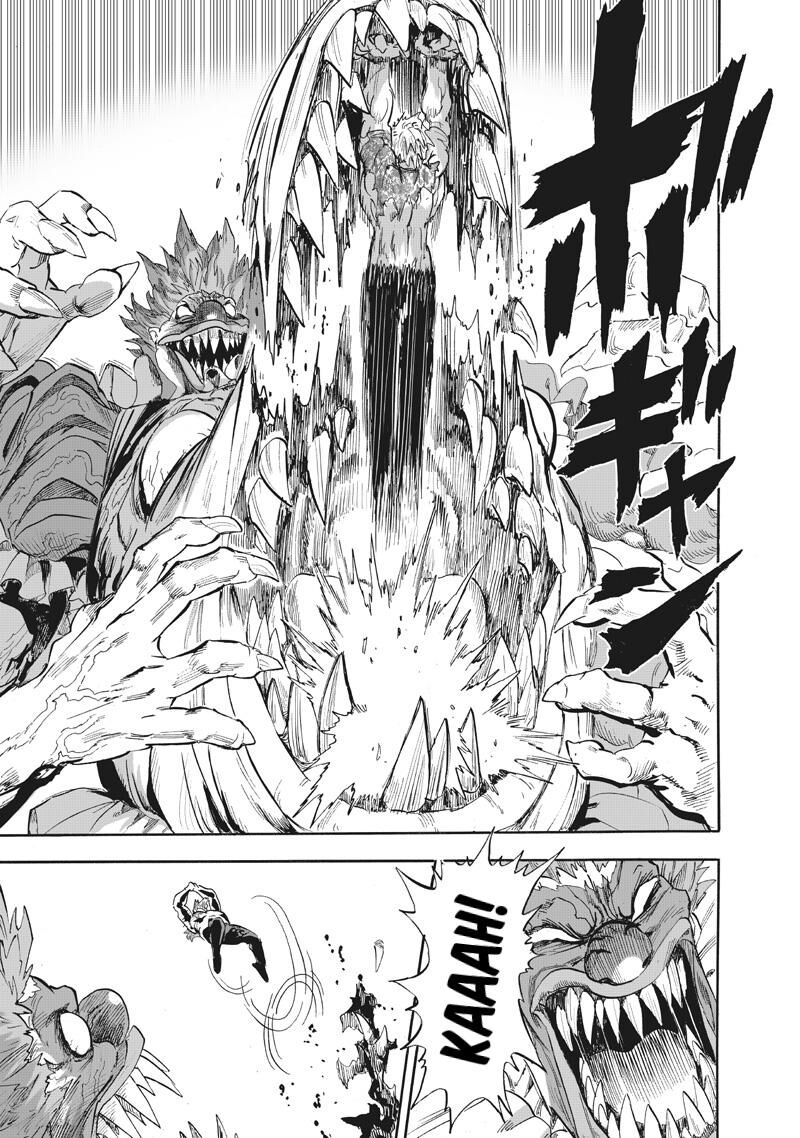 Onepunch Man 217 12