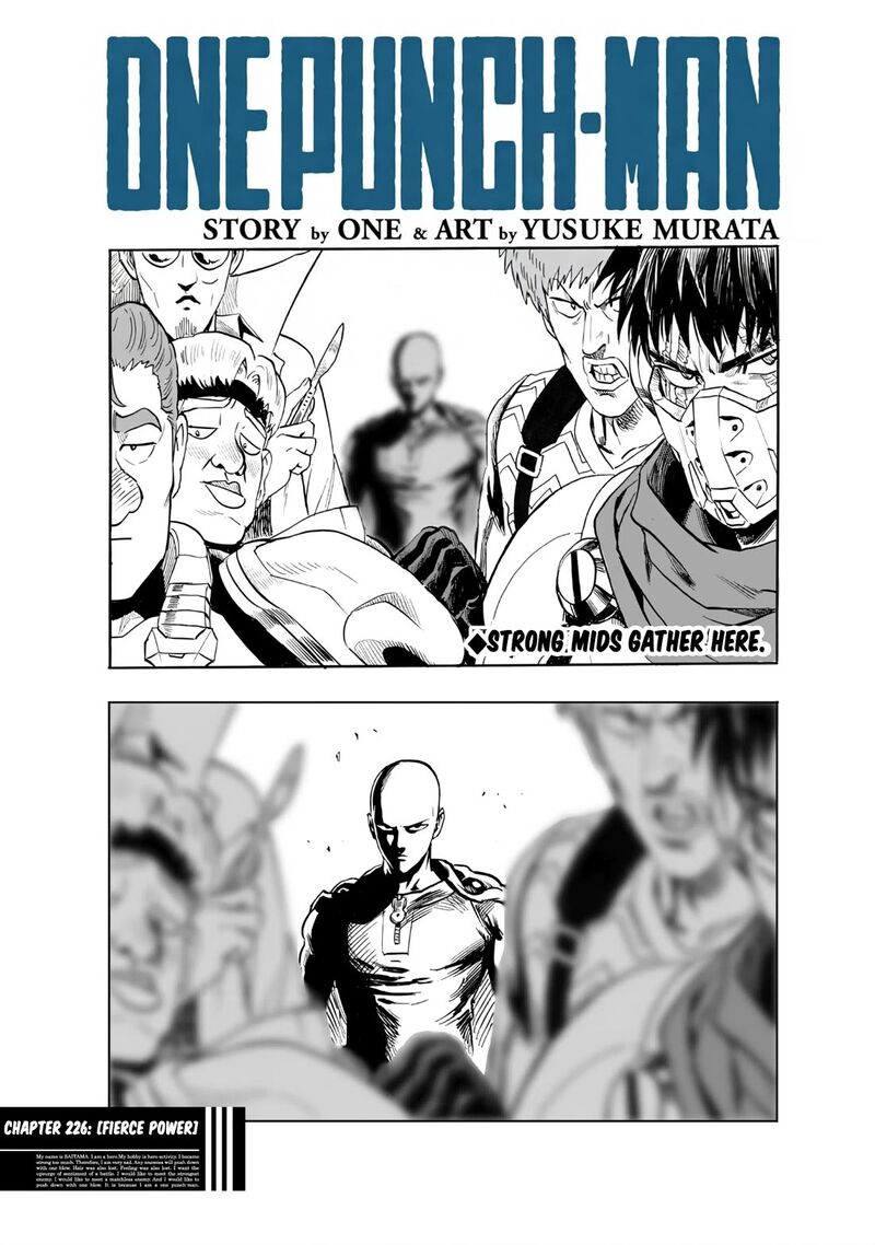 Onepunch Man 226 1