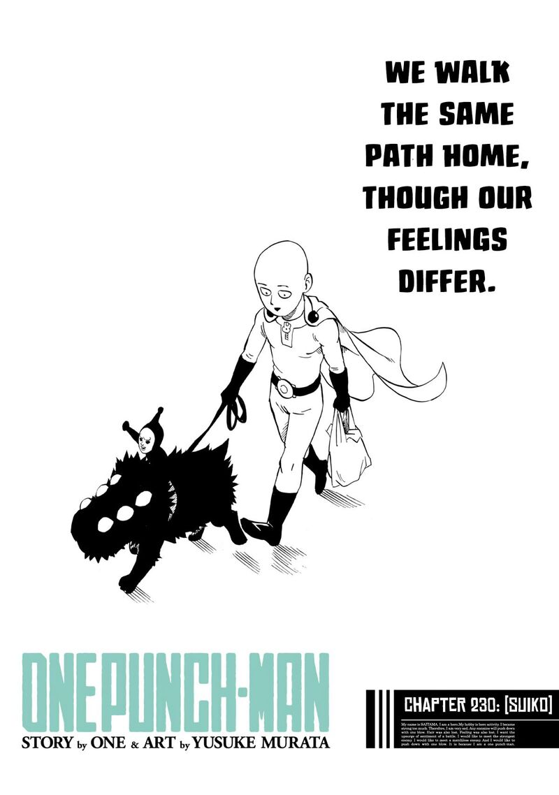 Onepunch Man 230 1