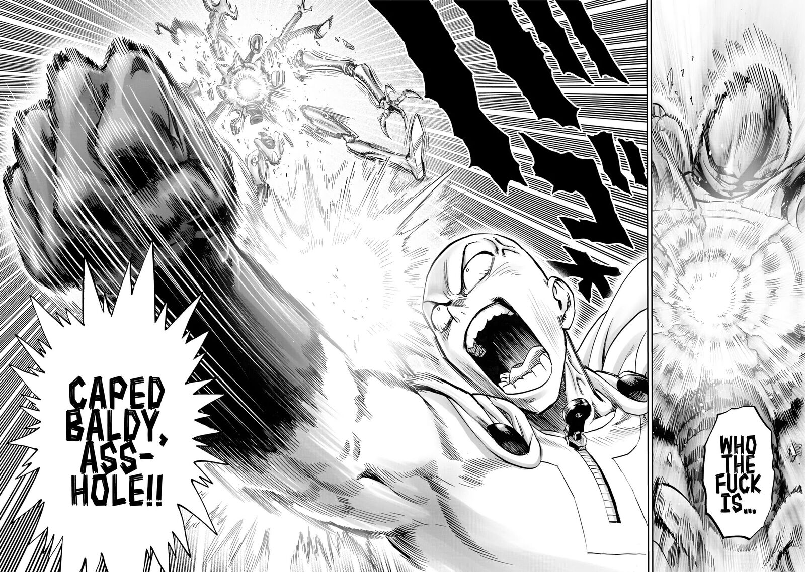 Onepunch Man 233 4