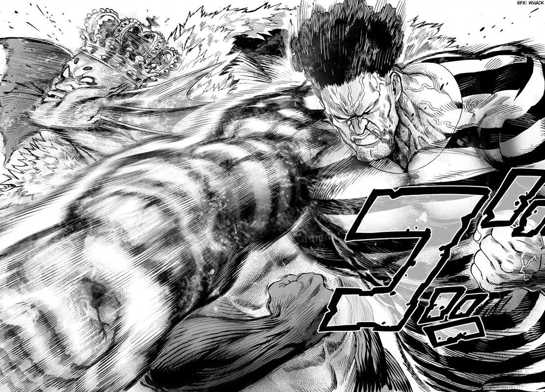 Onepunch Man 25 16