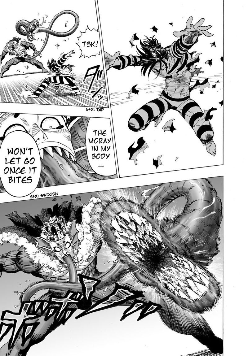 Onepunch Man 25 40