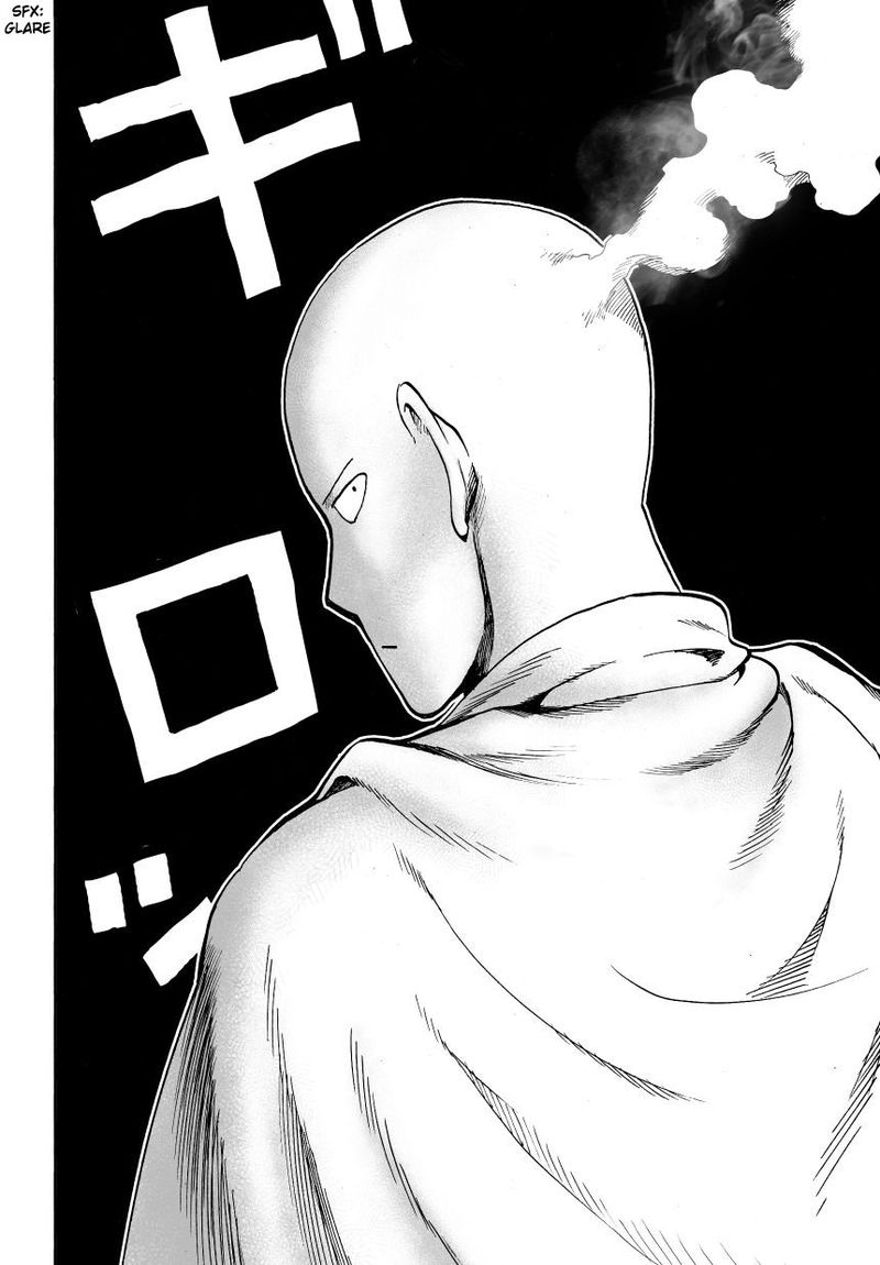 Onepunch Man 27 26