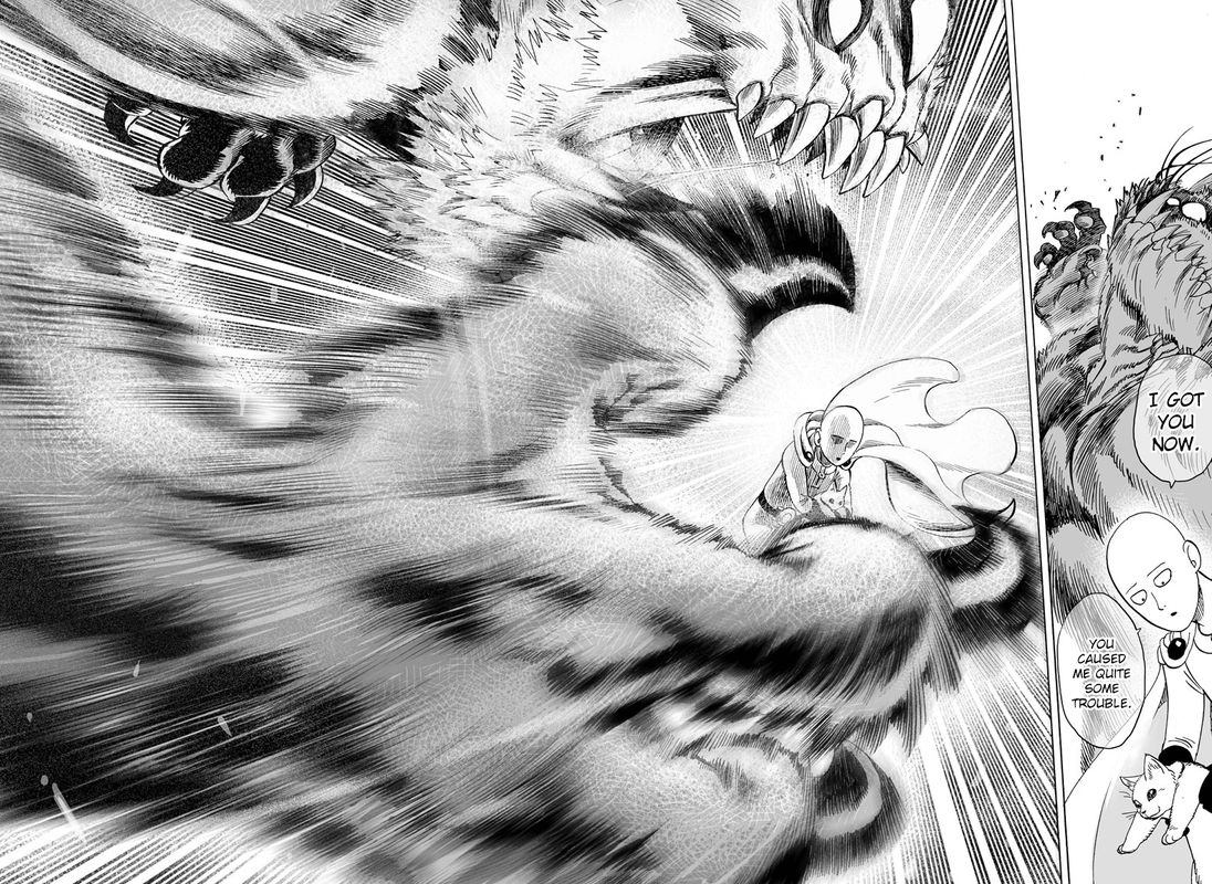 Onepunch Man 40 50