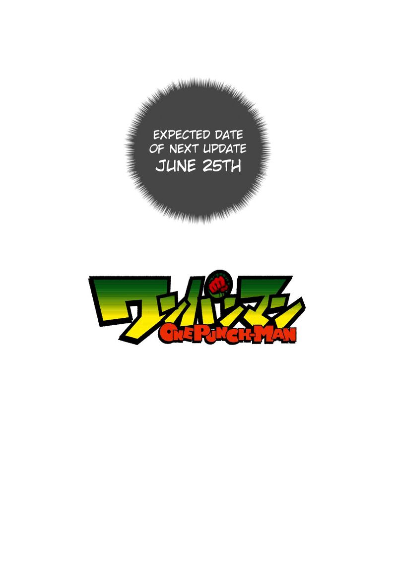 Onepunch Man 48 27