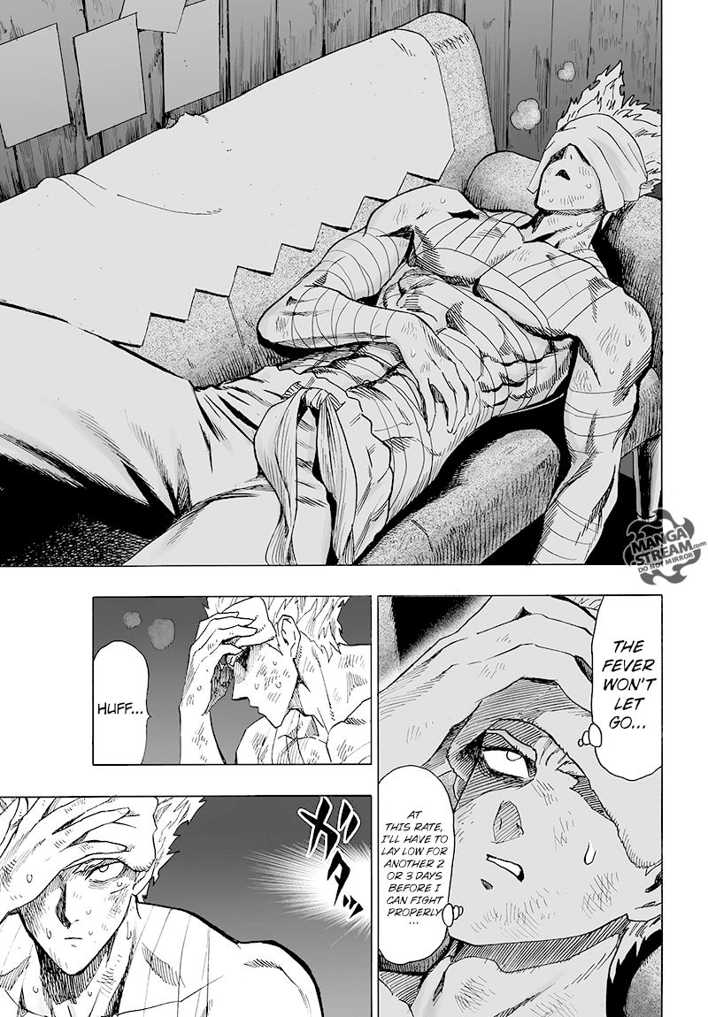 Onepunch Man 80 20