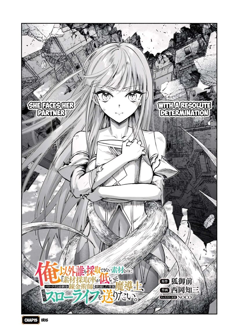 Ore Igai Dare Mo Saishu Dekinai Sozai Na No Ni Sozai Saishuritsu Ga Hikui To Pawahara Suru Osananajimi Renkinjutsushi To Zetsuen Shita Senzoku Madoushi Henkyou No Machi De Slow Life Wo Okuritai 15 1