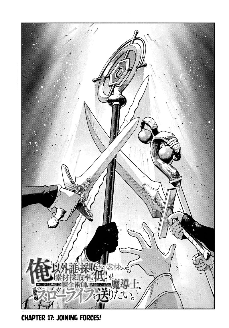 Ore Igai Dare Mo Saishu Dekinai Sozai Na No Ni Sozai Saishuritsu Ga Hikui To Pawahara Suru Osananajimi Renkinjutsushi To Zetsuen Shita Senzoku Madoushi Henkyou No Machi De Slow Life Wo Okuritai 17 3