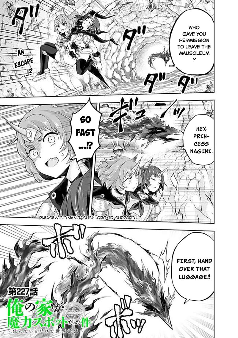 Ore No Ie Ga Maryoku Spot Datta Ken Sundeiru Dake De Sekai Saikyou 227 2