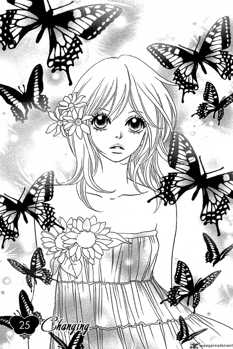 Papillon Hana To Chou 25 3