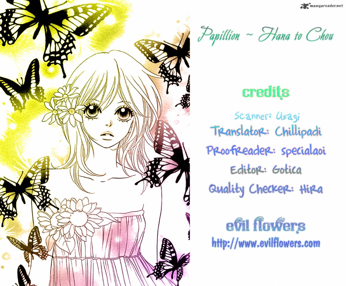 Papillon Hana To Chou 28 3