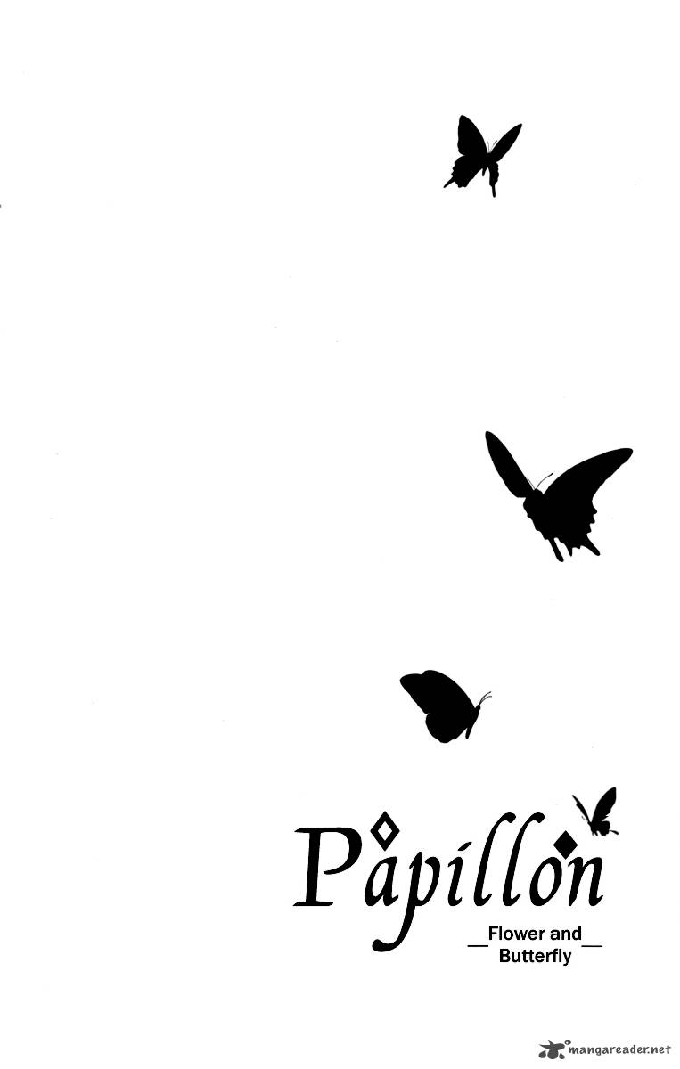 Papillon Hana To Chou 31 8