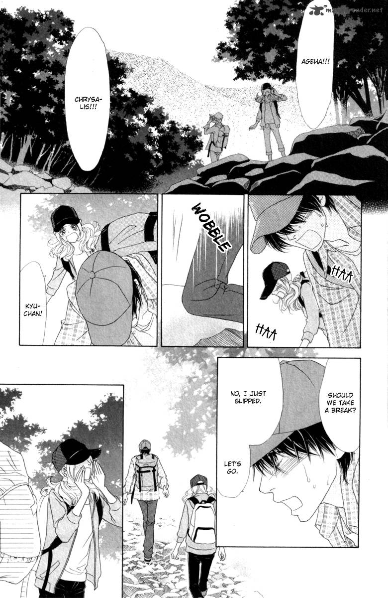 Papillon Hana To Chou 39 28