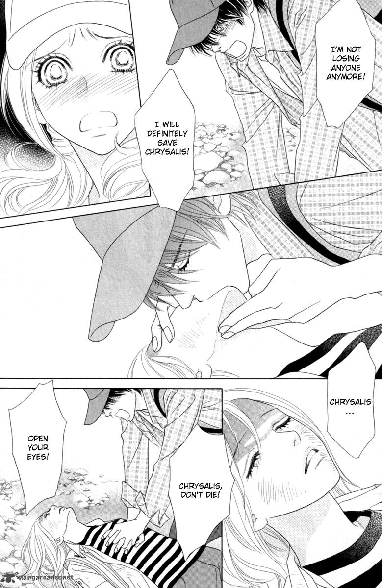 Papillon Hana To Chou 40 12