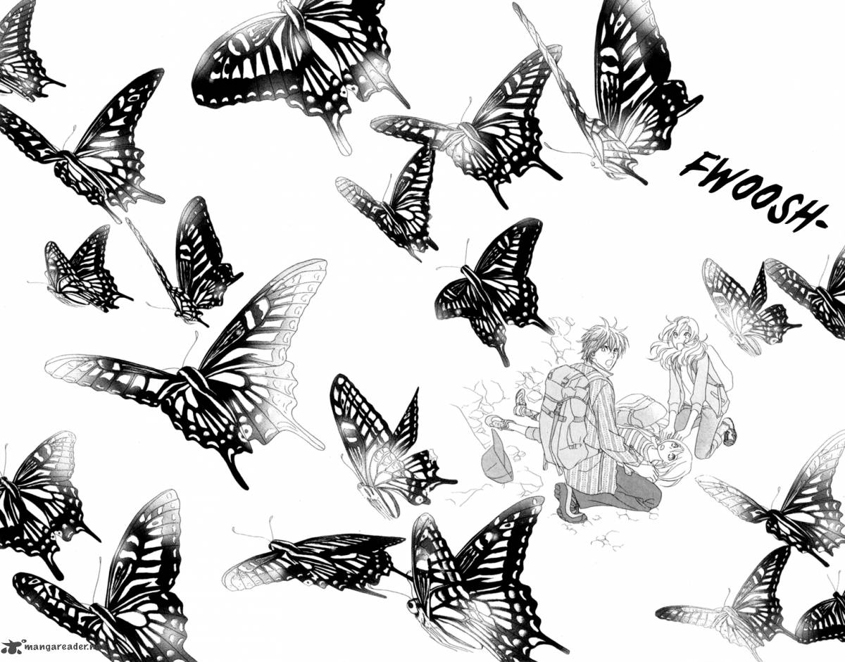 Papillon Hana To Chou 40 18