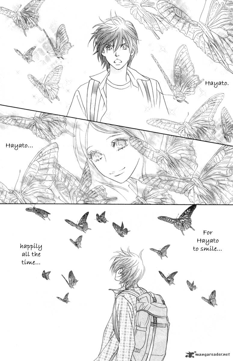 Papillon Hana To Chou 40 19