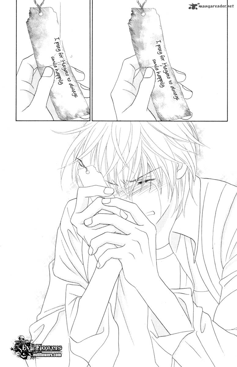 Papillon Hana To Chou 40 20