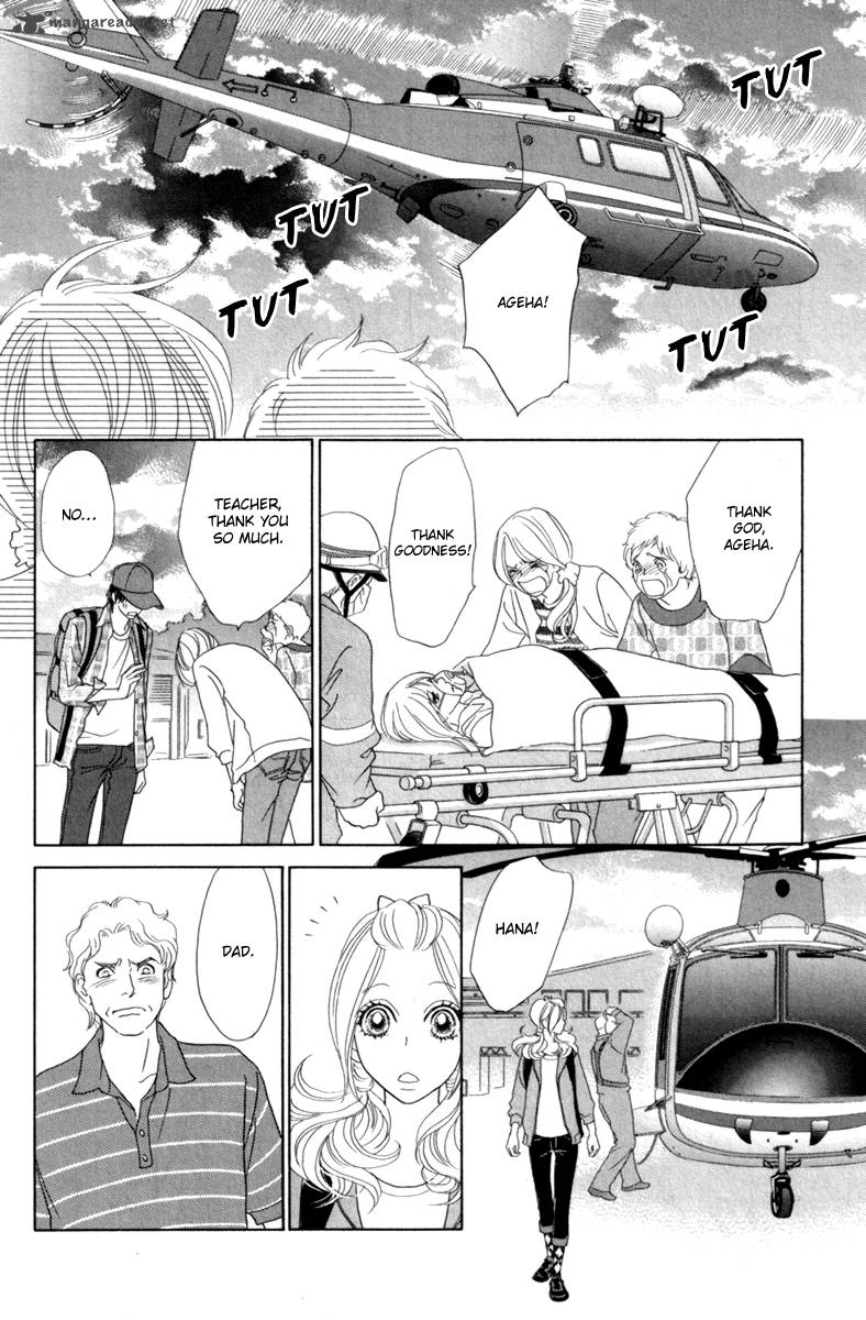 Papillon Hana To Chou 40 21