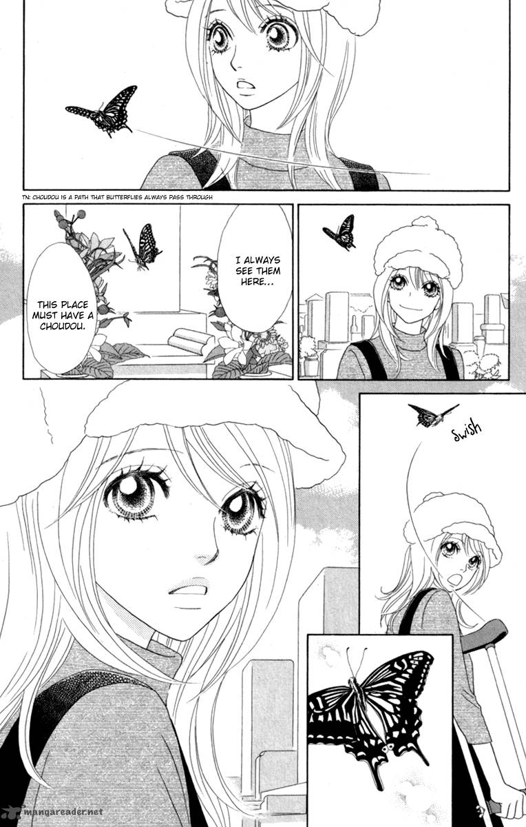 Papillon Hana To Chou 40 30
