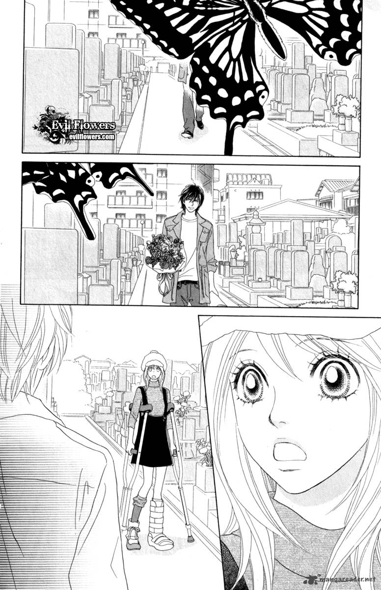 Papillon Hana To Chou 40 31