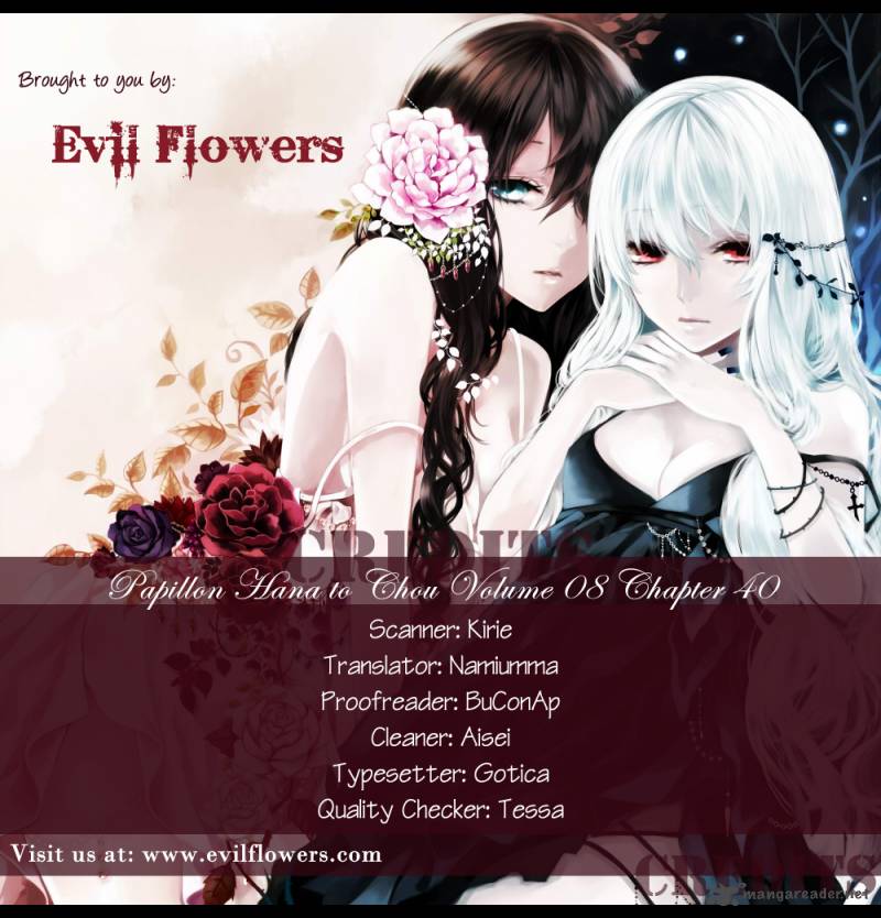 Papillon Hana To Chou 40 4