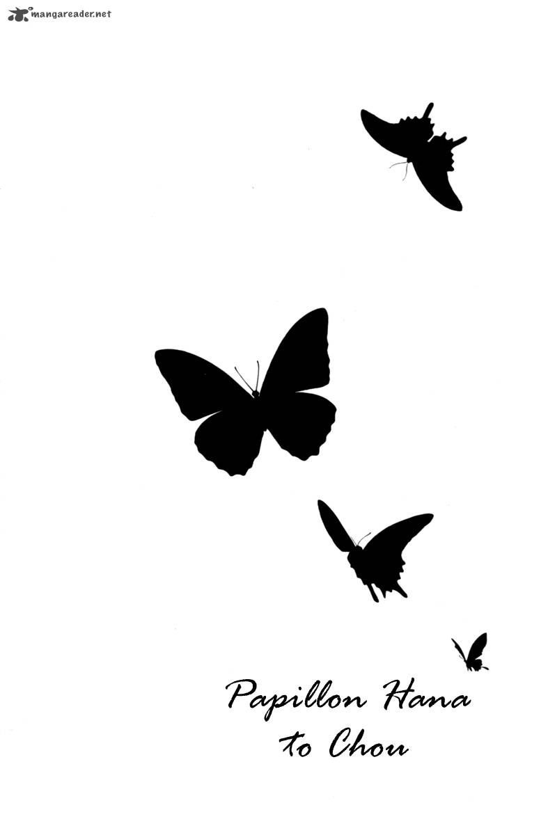 Papillon Hana To Chou 40 6