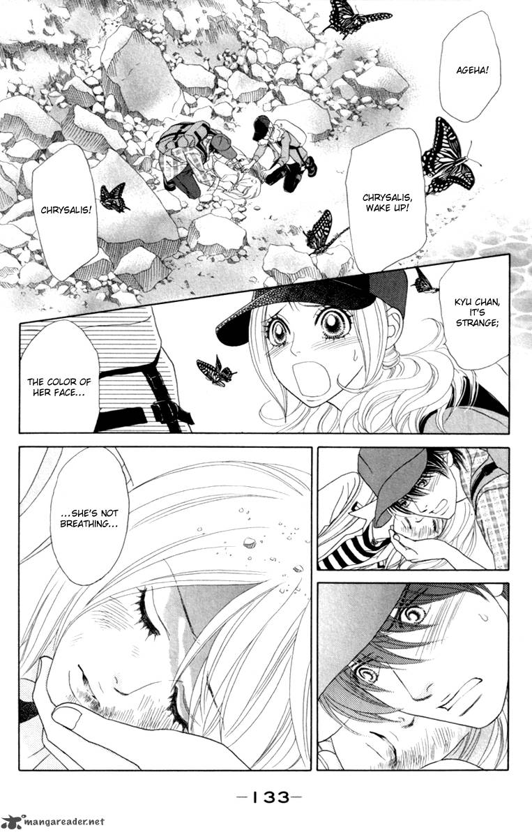 Papillon Hana To Chou 40 7