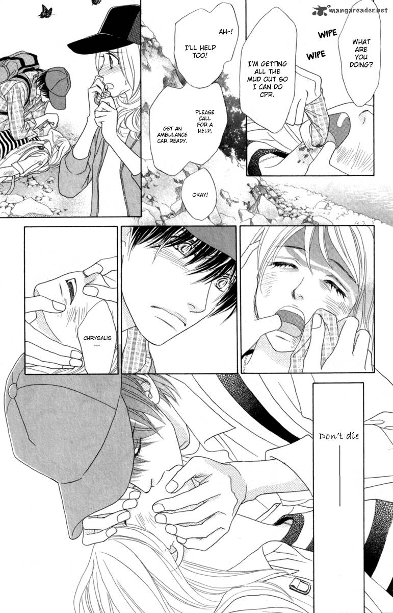 Papillon Hana To Chou 40 9
