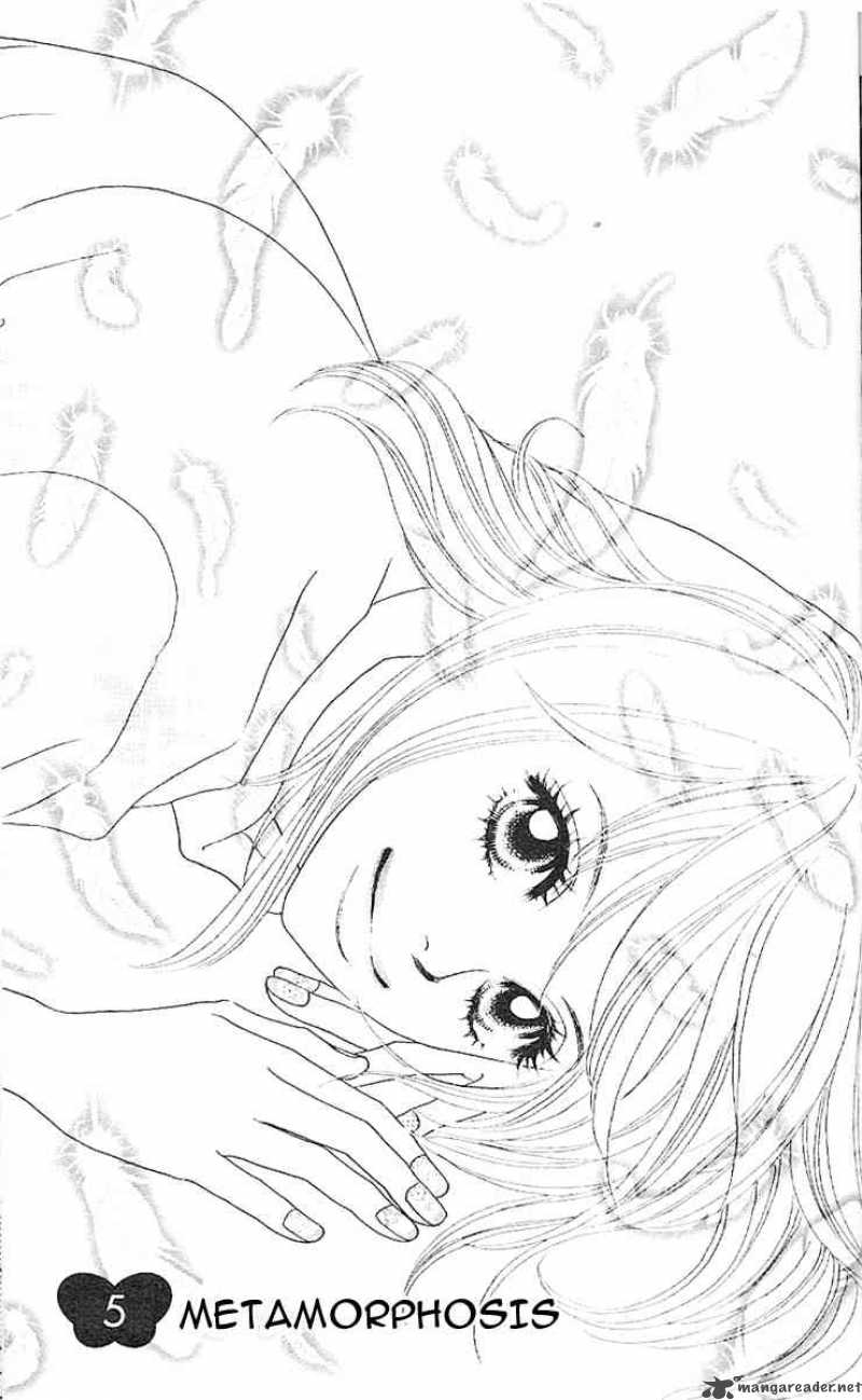 Papillon Hana To Chou 5 1