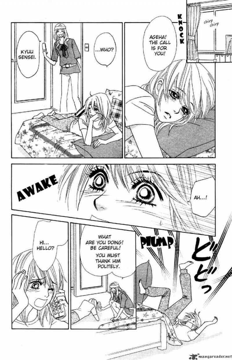 Papillon Hana To Chou 8 28