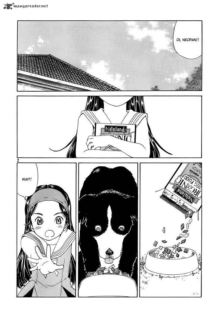 Paradise Residence 3 2