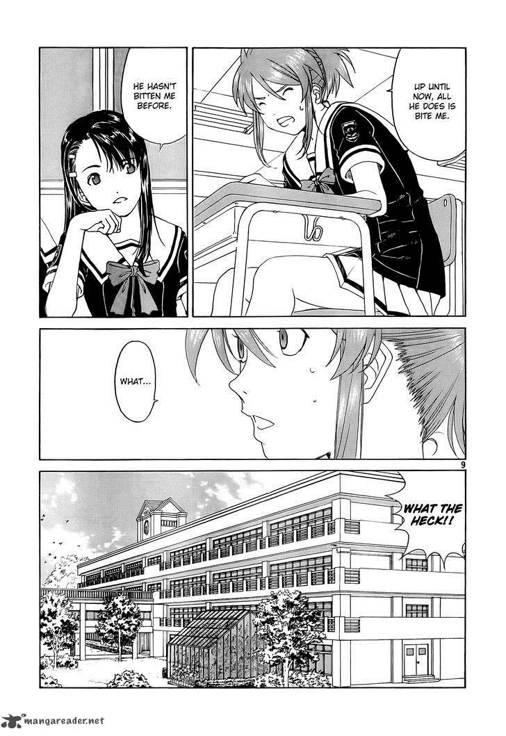 Paradise Residence 3 9
