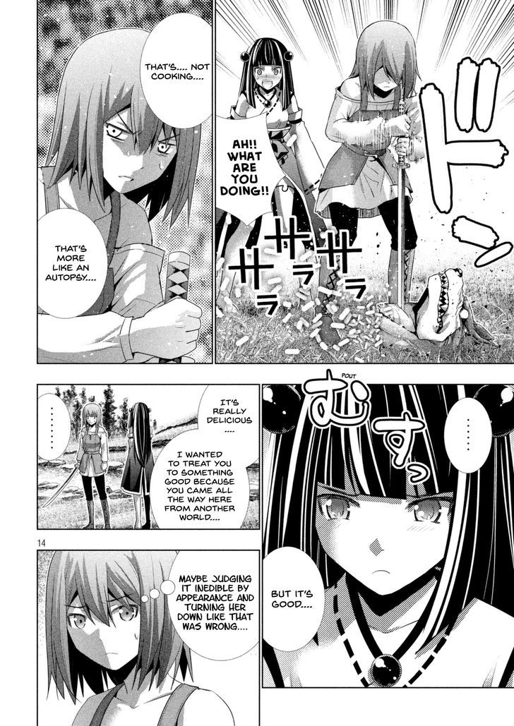 Parallel Paradise 15 15