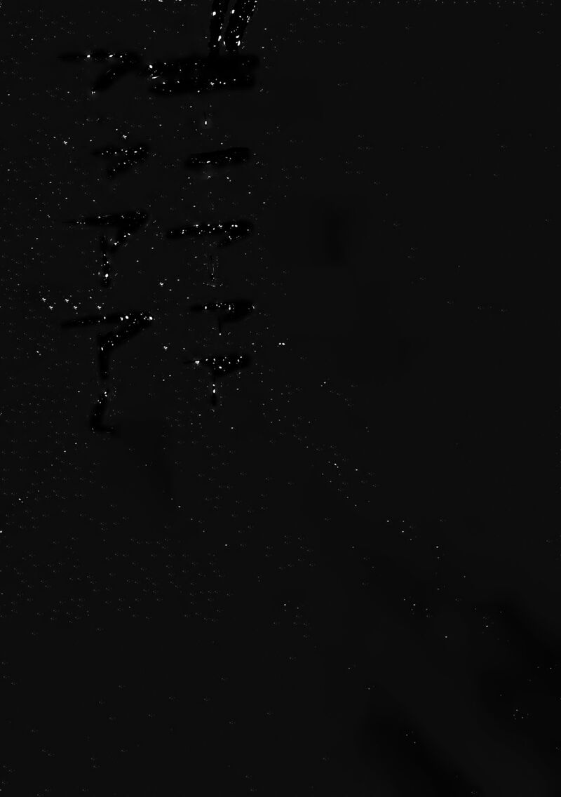 Parallel Paradise 296 13