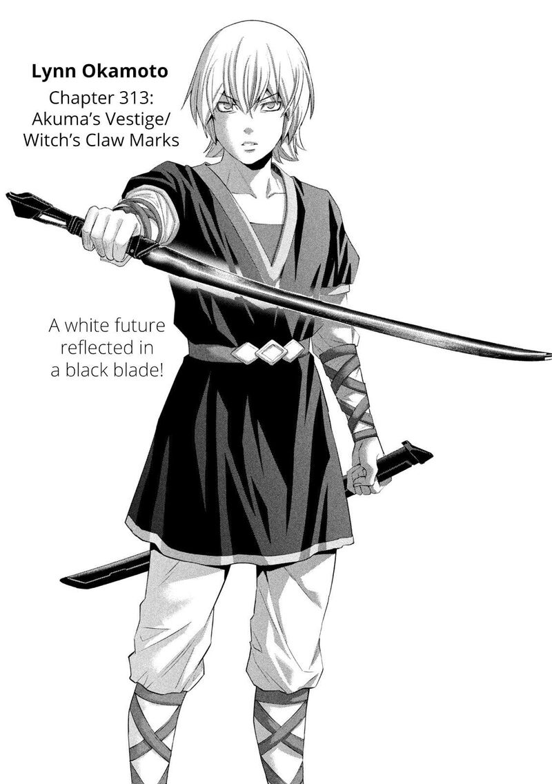 Parallel Paradise 313 1