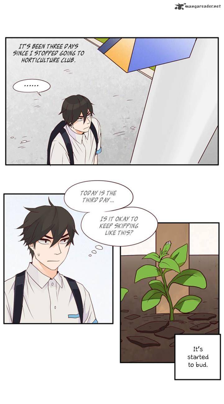Pine In The Flower Garden 40 3