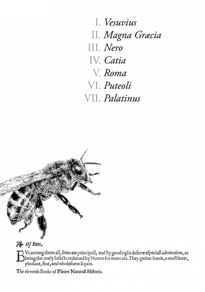 Plinius 1 3
