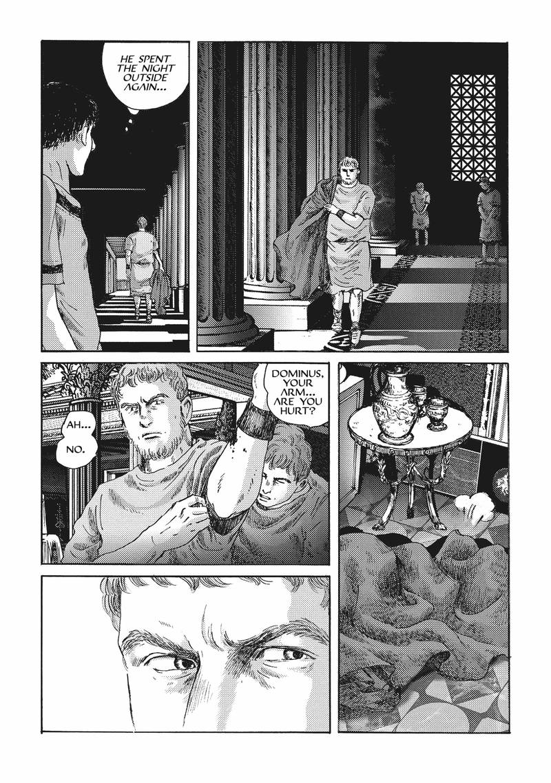 Plinius 14 17
